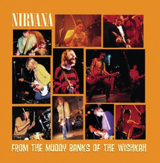 کاور آهنگ Tourette's (Live At Reading Festival, UK, August 30, 1992) از Nirvana