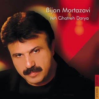 کاور آهنگ Setareh از Bijan Mortazavi