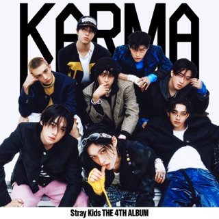 کاور آهنگ CEREMONY از Stray Kids