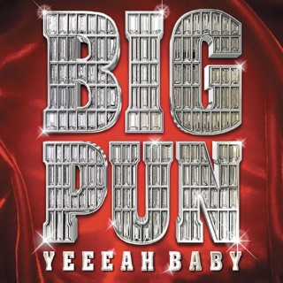 کاور آهنگ Boomerang از Big Punisher