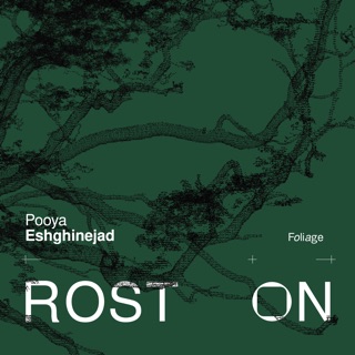 کاور آهنگ Good Morning (feat. Sepas Sadrenoori, Ideen Shafaee & Mohammad Alizadeh) از Pooya Eshghinejad & Roston