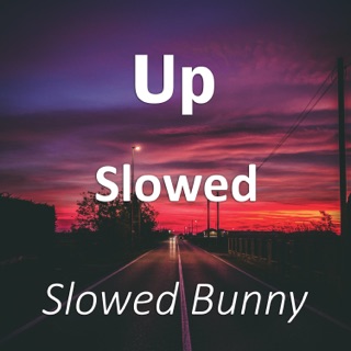 کاور آهنگ LEGACY (slowed down) از Slowed Bunny