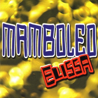 کاور آهنگ Mamboleo از Elissa