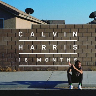 کاور آهنگ Sweet Nothing (feat. Florence Welch) از Calvin Harris