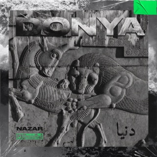 کاور آهنگ INTRO از Donya
