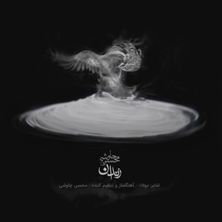 کاور آهنگ Zendan\Prison از Mohsen Chavoshi