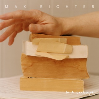 کاور آهنگ And Some Will Fall از Max Richter
