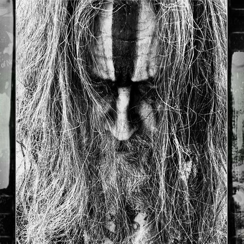 کاور آهنگ 17 Year Locust از Rob Zombie