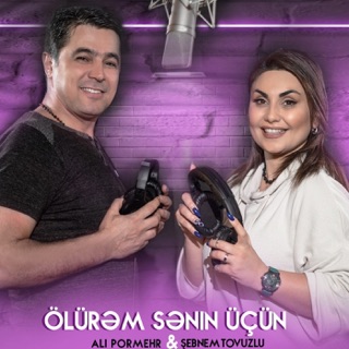 کاور آهنگ Seviram Sani از Ali Pormehr