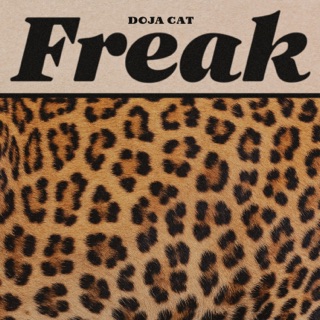 کاور آهنگ Freak (Official Audio) از Doja Cat