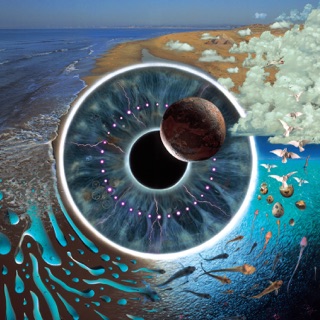 کاور آهنگ Pink Floyd / Sorrow (Live) از Pink Floyd