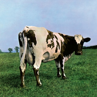 کاور آهنگ Pink Floyd از Pink Floyd