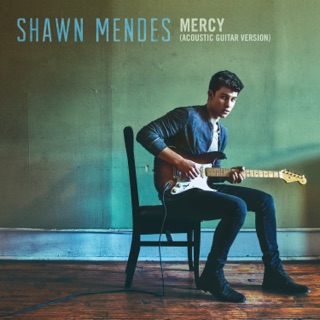 کاور آهنگ Mercy (Official Acoustic) از Shawn Mendes
