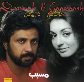 کاور آهنگ Balaye Nay از Dariush & Googoosh