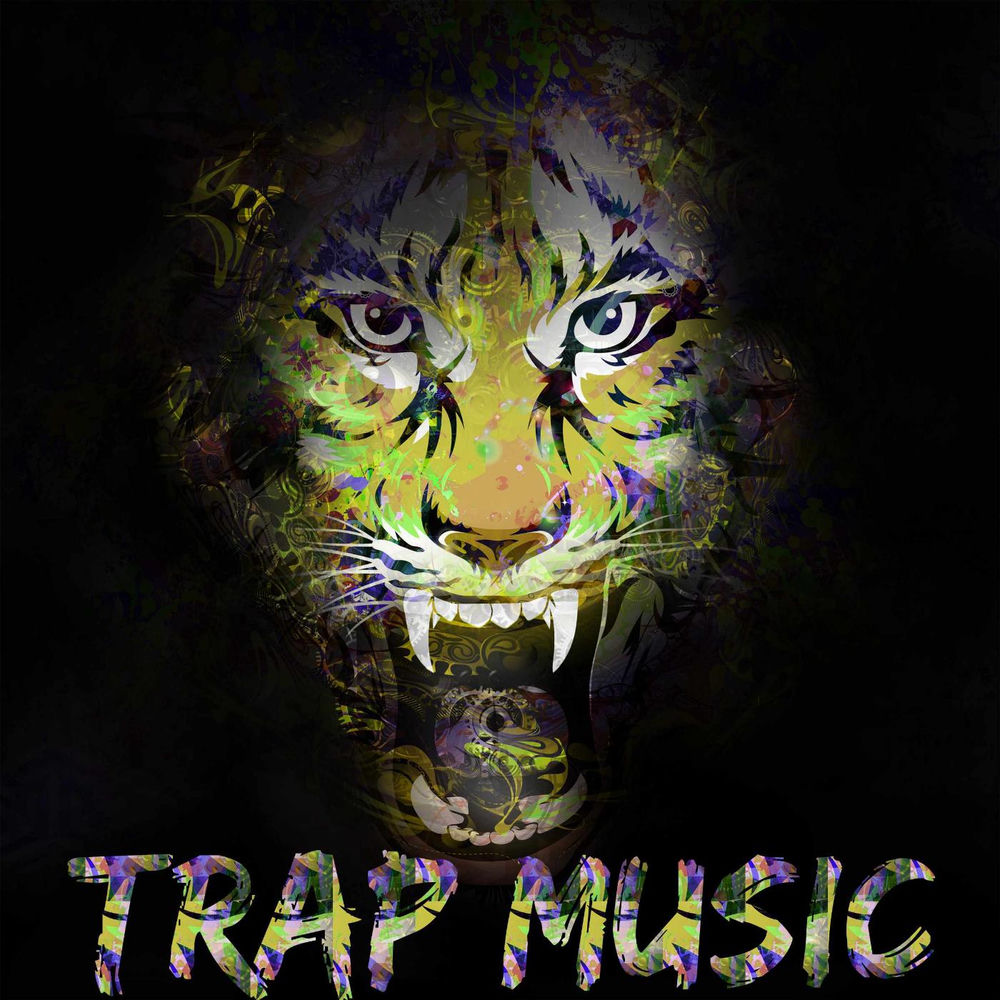 کاور آهنگ TQG (FT. SHAKIRA) از Trap Music