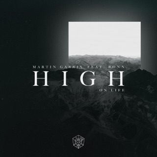 کاور آهنگ High on Life (feat. Bonn) از Martin Garrix