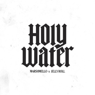 کاور آهنگ Holy Water از Marshmello & Jelly Roll