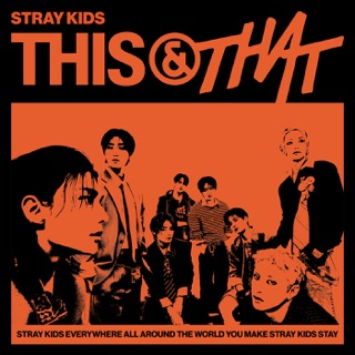 کاور آهنگ FARMING [SLOWED] از Stray Kids