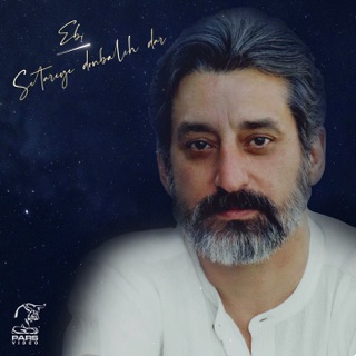 کاور آهنگ Delbar از Ebi
