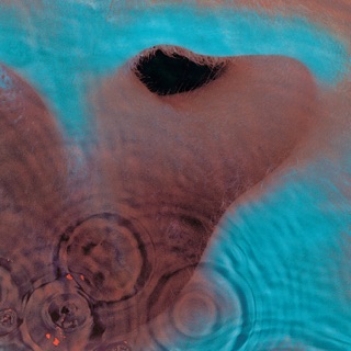 کاور آهنگ pink floyd از Pink Floyd