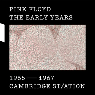 کاور آهنگ Vegetable Man (2010 Mix) از Pink Floyd