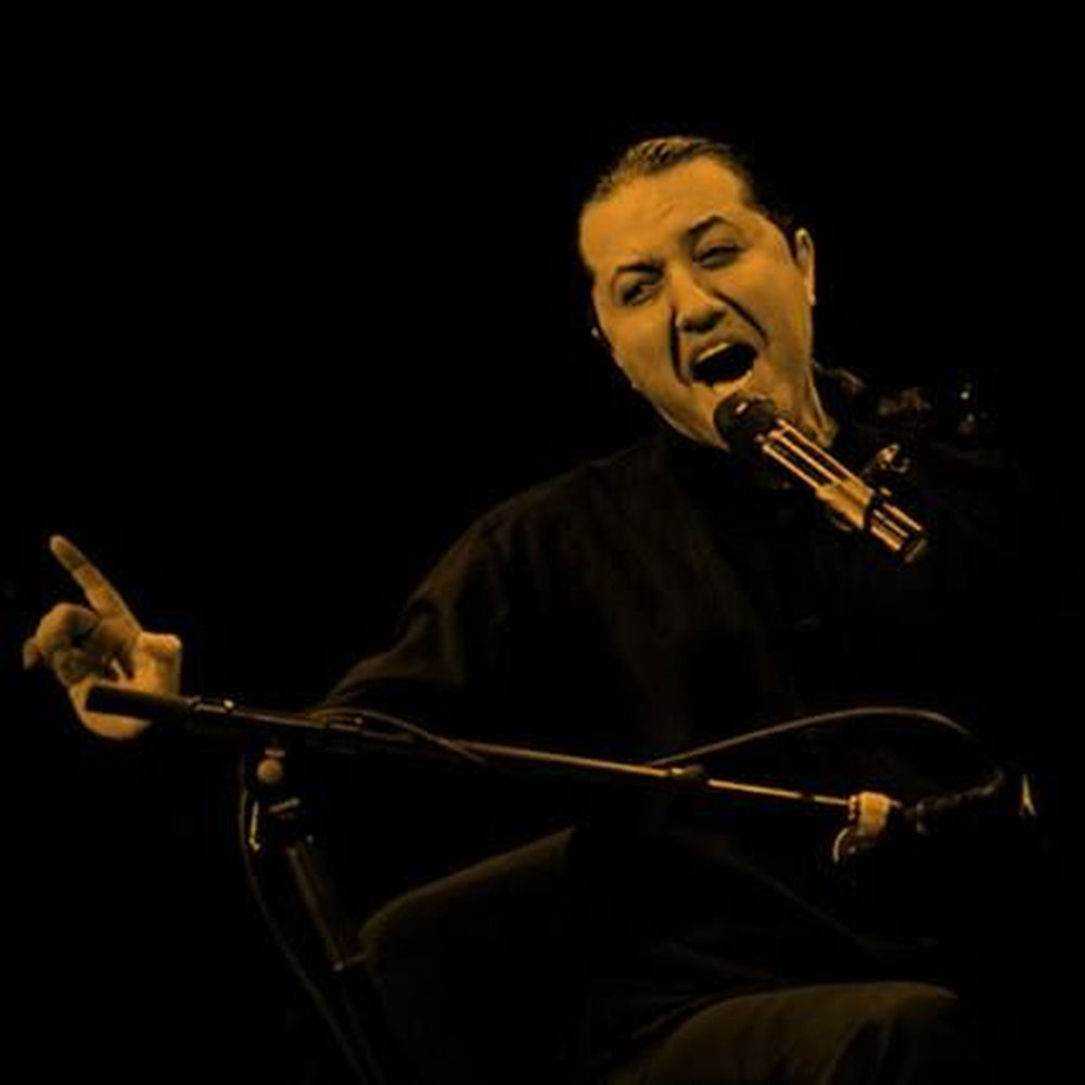 کاور آهنگ Rooze Barani Setar از Hamed Nikpay