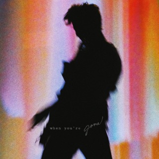 کاور آهنگ When You're Gone (COASTR. Remix) از Shawn Mendes