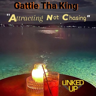 کاور آهنگ Not Chasing Highs از Gattie Tha King