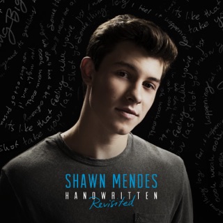 کاور آهنگ Life Of The Party (Official Lyric Video) از Shawn Mendes