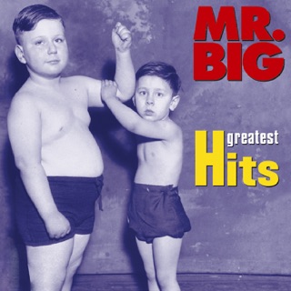 کاور آهنگ Wild World از Mr. Big