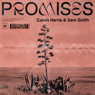 کاور آهنگ Promises از Calvin Harris & Sam Smith