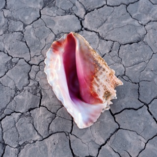 کاور آهنگ The Man از The Killers