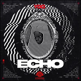 کاور آهنگ Echo از YDG