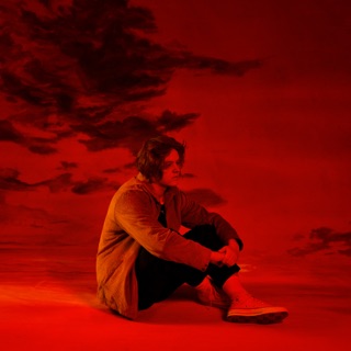 کاور آهنگ Bruises (Lewis Capaldi) از Lewis Capaldi