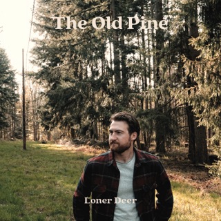 کاور آهنگ She Is in Love از Loner Deer