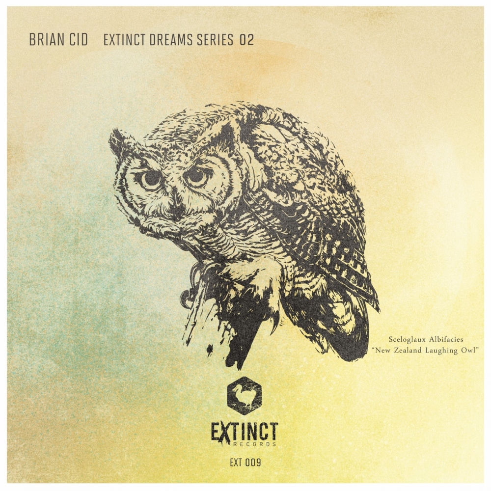 کاور آهنگ Rio Original Extended Mix /club sessions Tech/Tribal H از Brian Cid