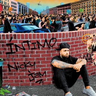کاور آهنگ Te Robaré از Nicky Jam & Ozuna