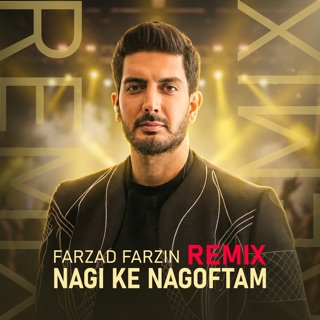 کاور آهنگ Farzad Farzin (Remix) از Farzad Farzin