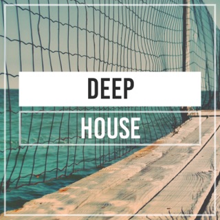 کاور آهنگ Young Original Mix از DEEP HOUSE
