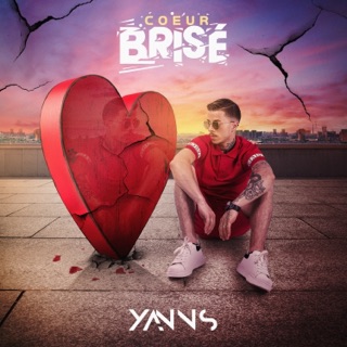 کاور آهنگ Coeur brisé از Yanns