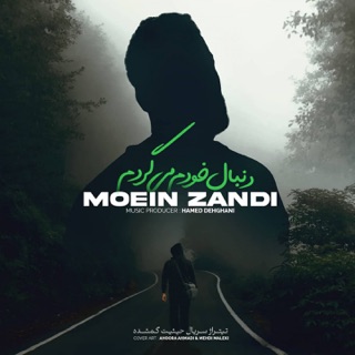 کاور آهنگ Donbale Khodam Migardam از Moein Z