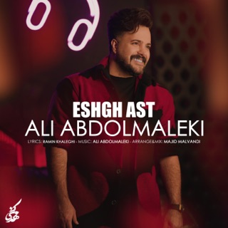 کاور آهنگ Zakhm Kari از Ali Abdolmaleki
