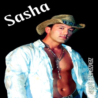 کاور آهنگ Tanha از Sasha