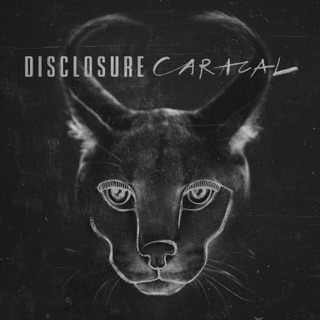 کاور آهنگ Magnets (feat. Lorde) از Disclosure