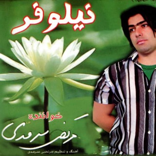 کاور آهنگ Ghafas از Morteza Sarmadi