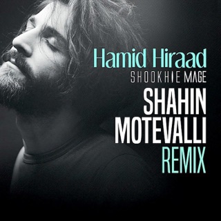کاور آهنگ Hamid Hiraad Delaaram remix از Hamid Hiraad