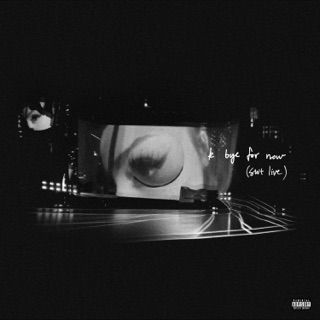 کاور آهنگ love me harder (live) از Ariana Grande