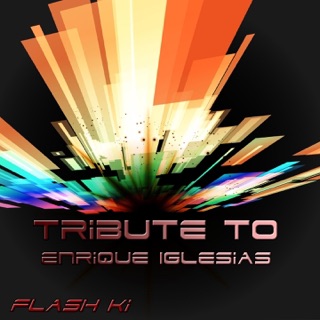 کاور آهنگ Finally Found You (Club Remix) از Flash Ki
