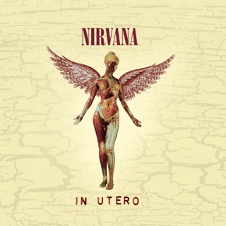 کاور آهنگ All Apologies از Nirvana