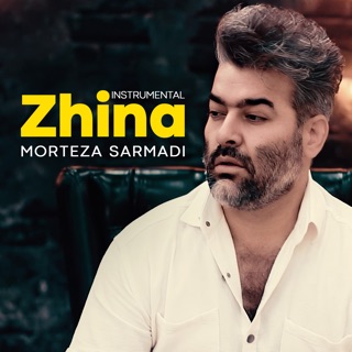 کاور آهنگ Hame Hastim (Instrumental) از Morteza Sarmadi